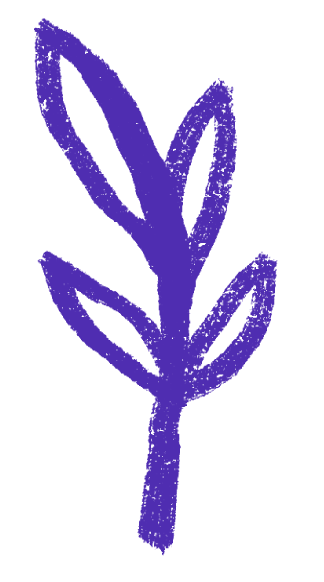 plantadoodle