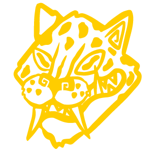 jaguaryou